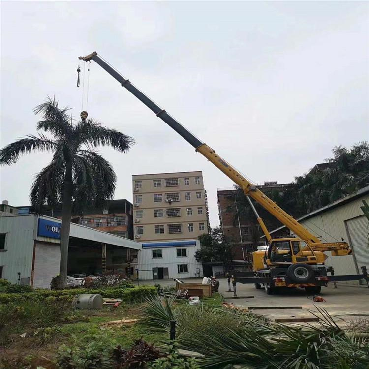 望都县吊车出租事故案例分析：如何避免设备倾覆风险